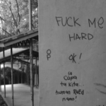 vandals2